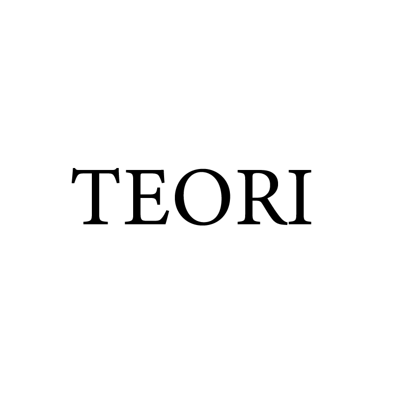 TEORI
